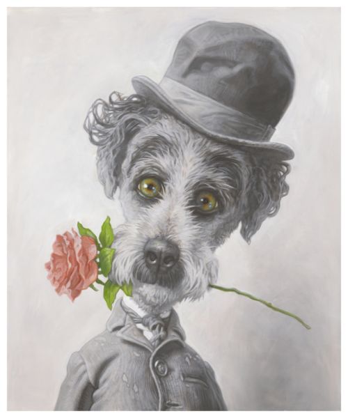 Brand new dog prints