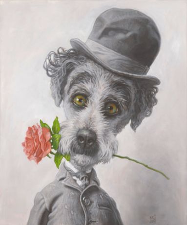 Dogs